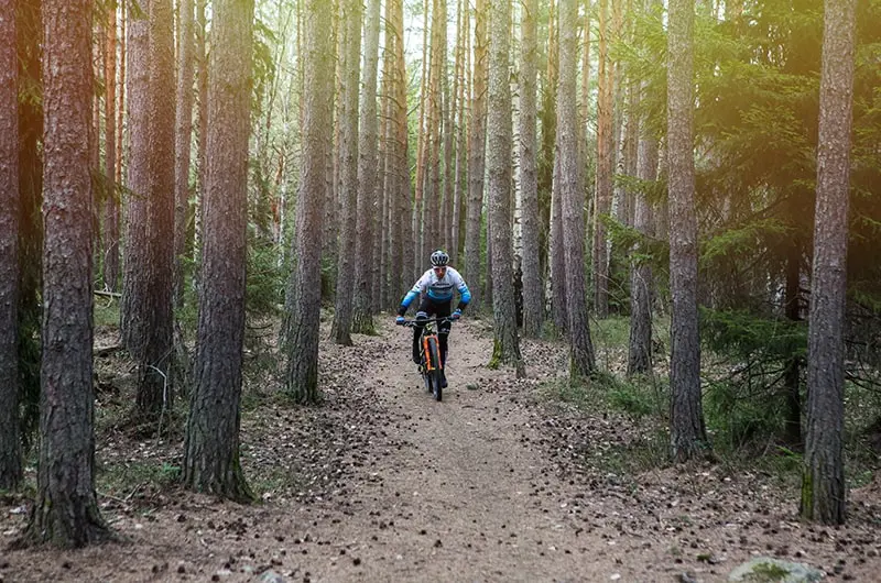 Calle Friberg2 800X530px